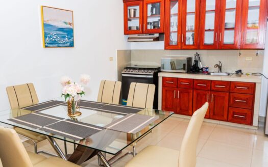 Casa Brisas san juan 1